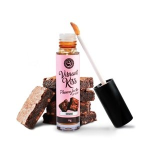 Secret Play Vibrant Kiss Lip Gloss Brownie 6g