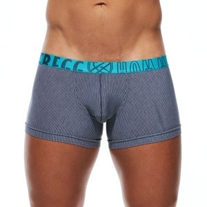 Boxerky GREGG HOMME FEEL IT TRUNK sivé L